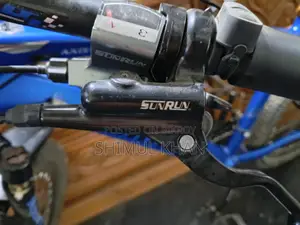 Duronto Gear Cycle with Oil Brakes