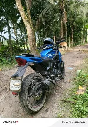 Roadmaster Rapido 2018