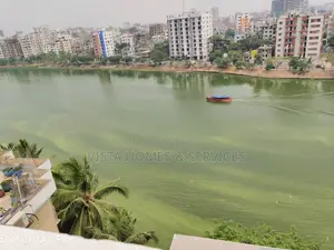 Luxury Fully Furnished 3 Bed Lakeside Apt for Rent in Gulshan-1