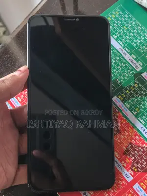 Xs max Gx oled display