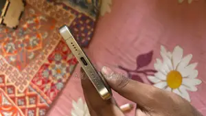 Apple iPhone 15 Pro Max (Used)