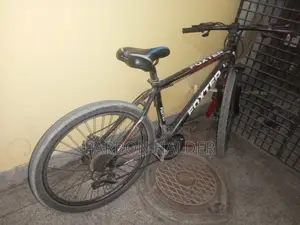 Foxter For Sell