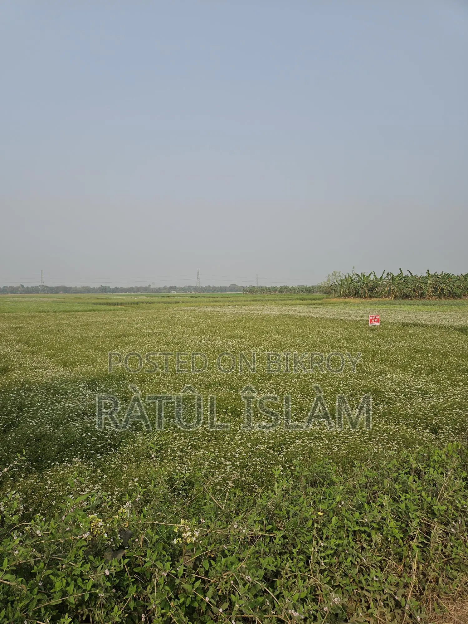 32 Decimal Land for Sale (19.4 Katha)