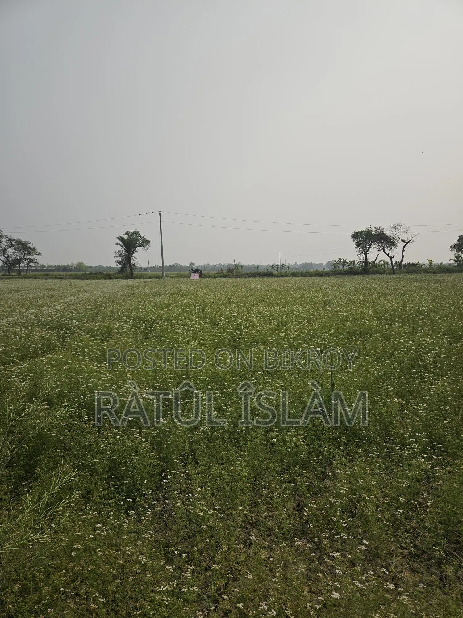 32 Decimal Land for Sale (19.4 Katha)
