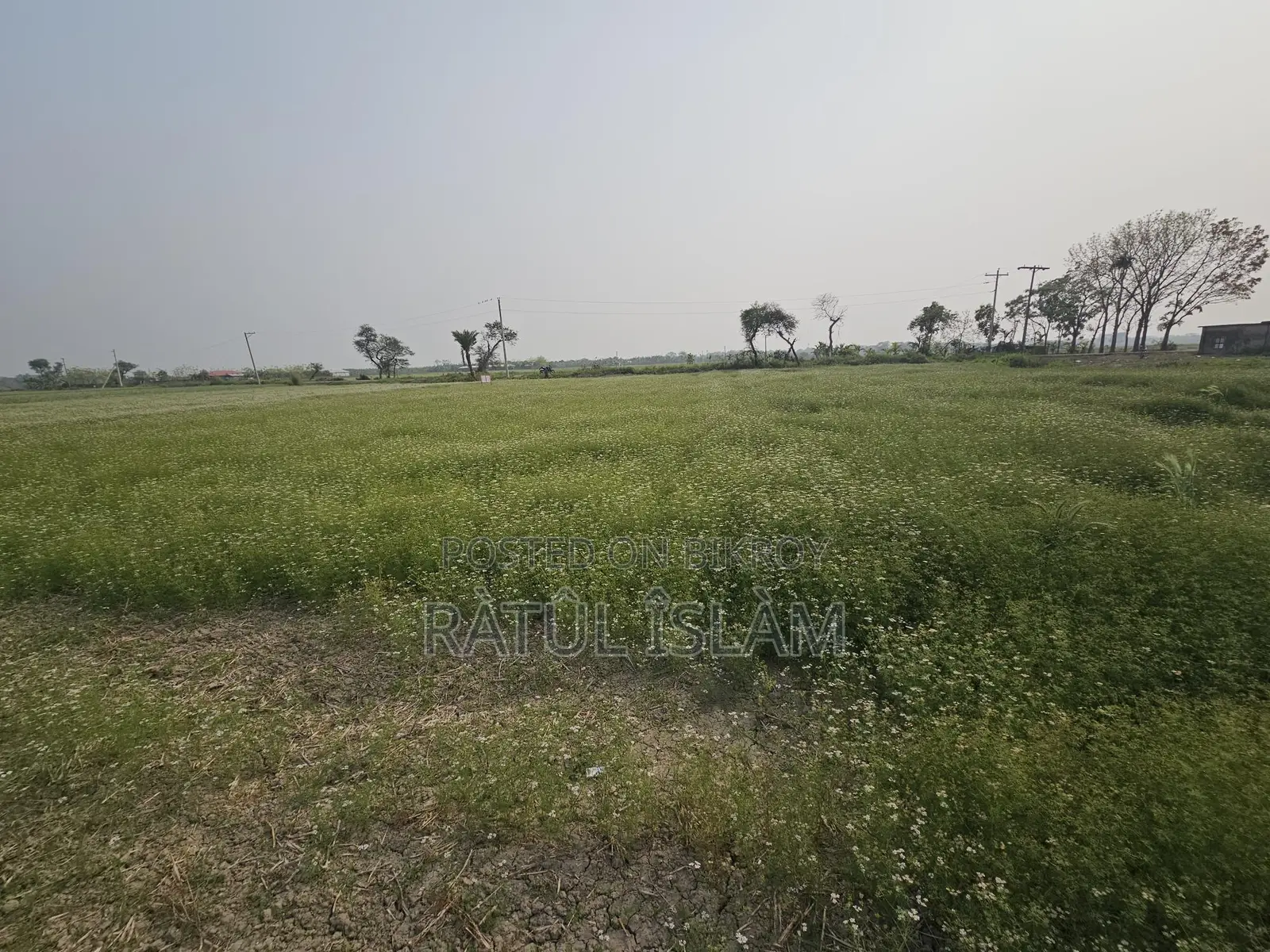 32 Decimal Land for Sale (19.4 Katha)