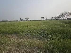 32 Decimal Land for Sale (19.4 Katha)