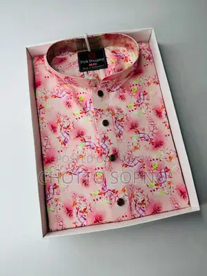 Printed Panjabi