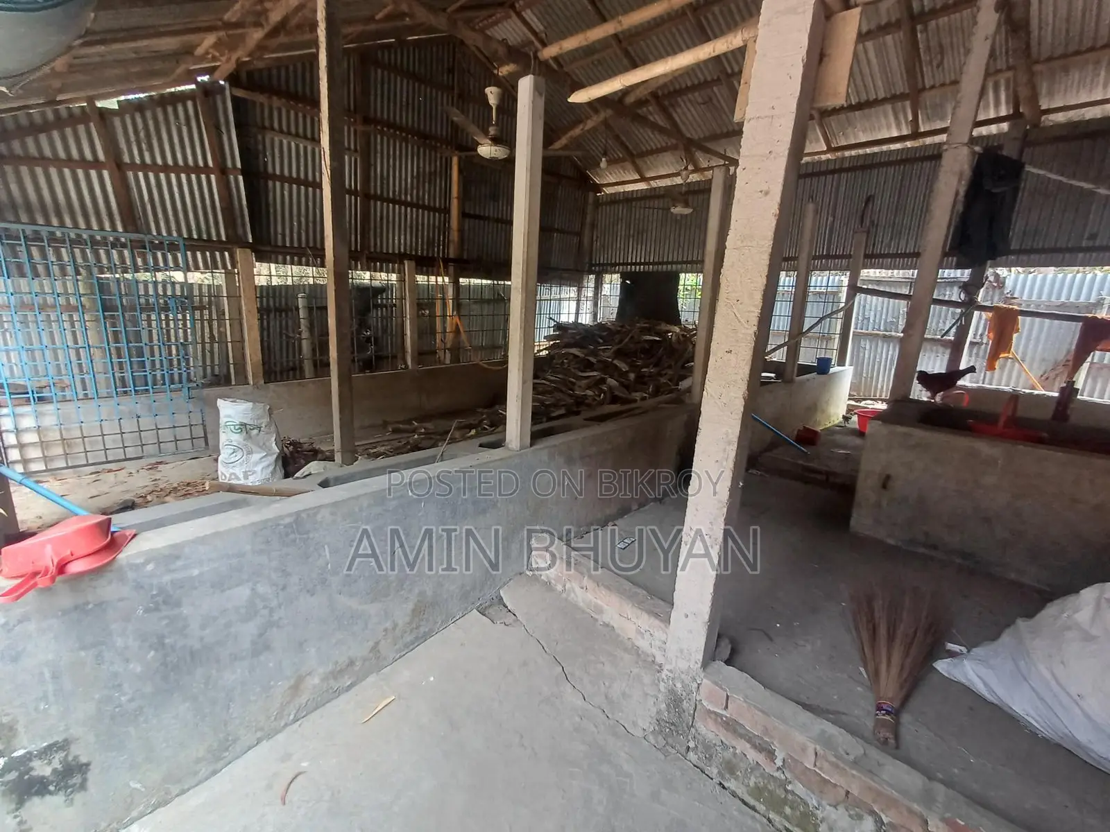 Beautiful house with 3 rooms, 2 bathrooms, cow shed, and a tin-shed