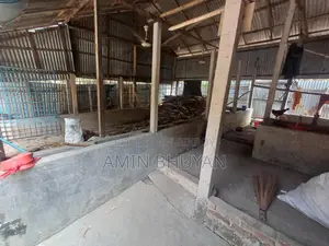 Beautiful house with 3 rooms, 2 bathrooms, cow shed, and a tin-shed