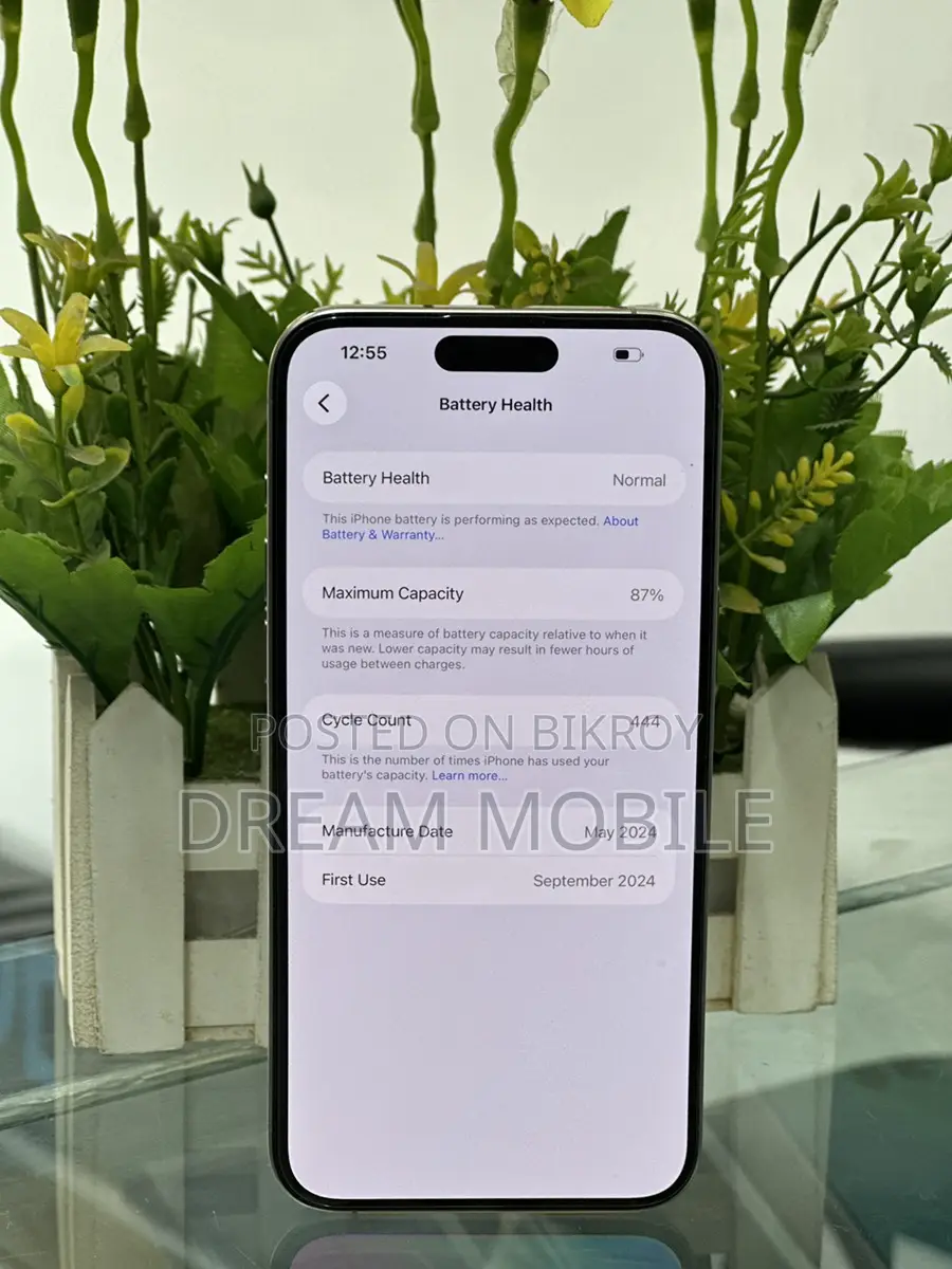 Apple iPhone 15 pro max (Used)