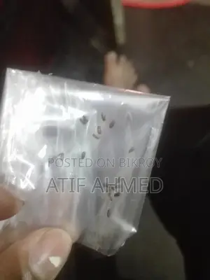Lavender Seeds