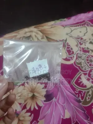 Lavender Seeds