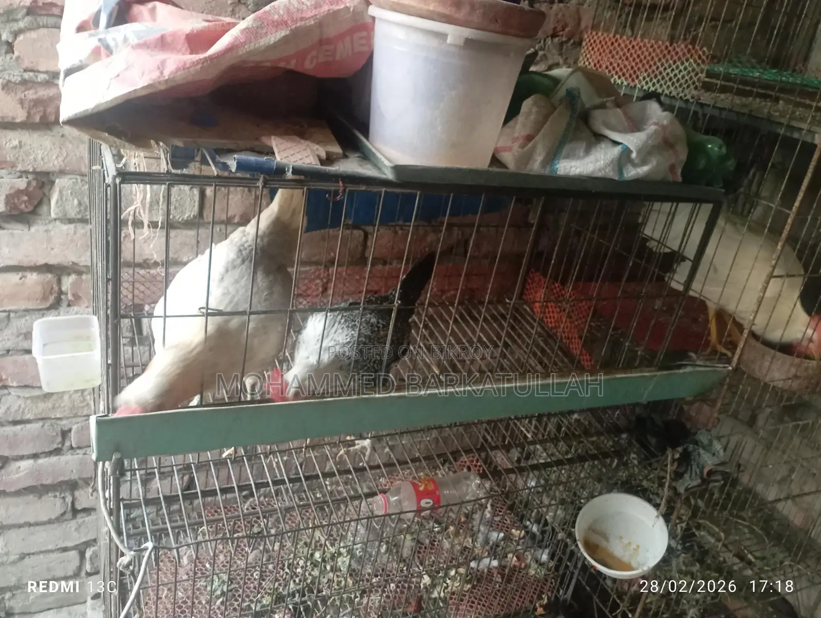 পাখির খাচা বিক্রি হবে।
