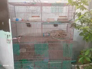 পাখির খাচা বিক্রি হবে।