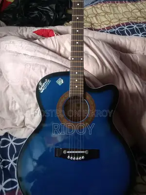 Guitar