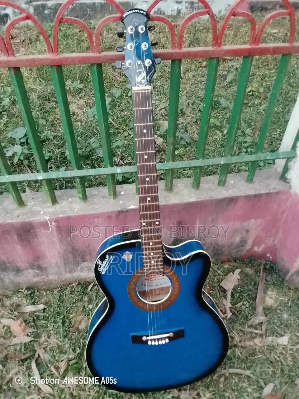 Guitar
