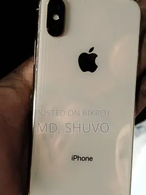 Apple iPhone XS 256GB (Used)