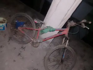 Duronto Bicycle