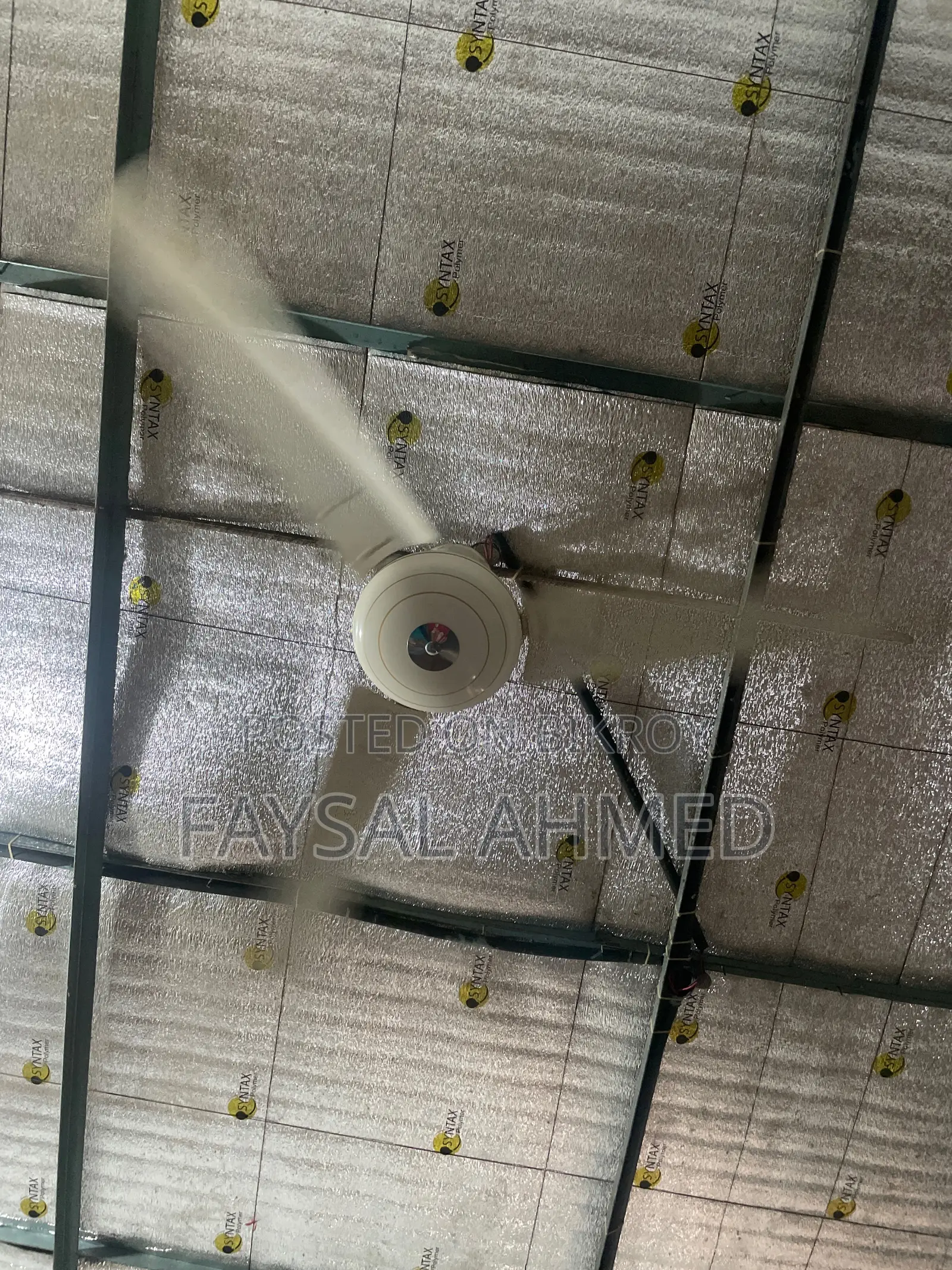 Walton Fan For Sale
