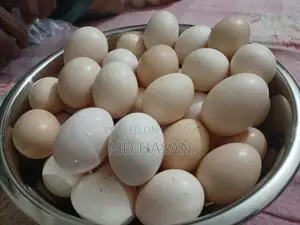 Egg Sell
