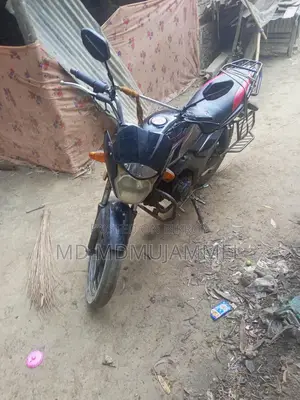 Zaara 100 2015