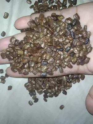 Aparajita Flower Seeds