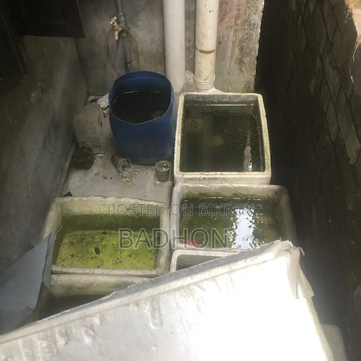 30-Liter Casket