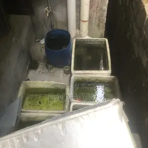 30-Liter Casket