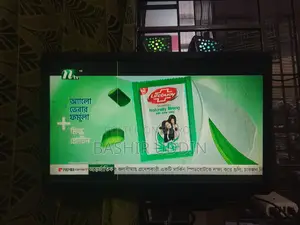Skyview 19 Inch Led Tv