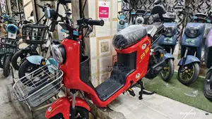 R9 Electric Bike 2026