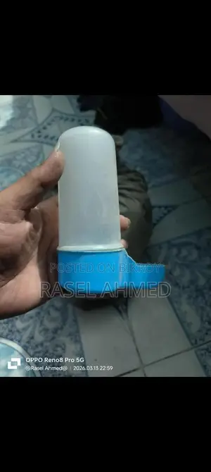 একটা হল ককাটেল বক্স আর দুইটা লাভ বার্ডের