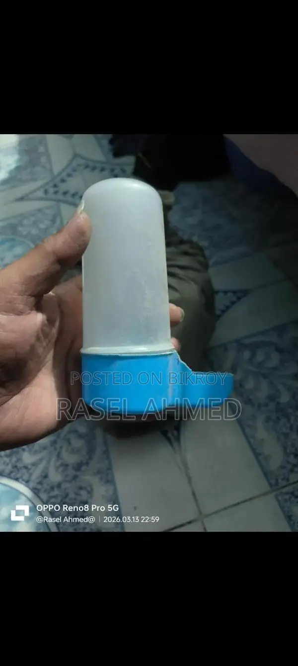 একটা হল ককাটেল বক্স আর দুইটা লাভ বার্ডের