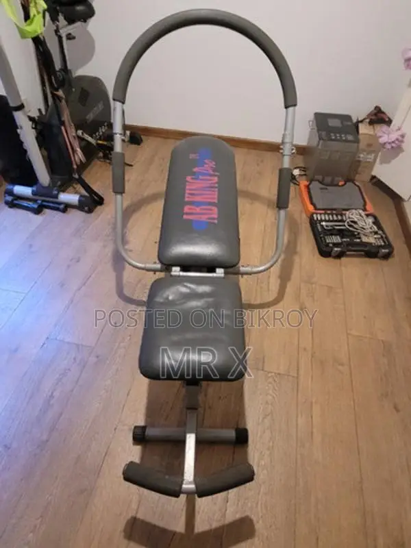 Ab King Pro Gym Machine