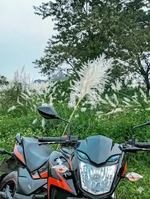Hero Hunk 150r 2022