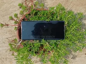 Tecno Camon 40 Pro (Used)