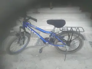 Phoenix Bicycle for Sale
