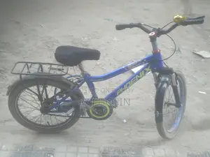 Phoenix Bicycle for Sale