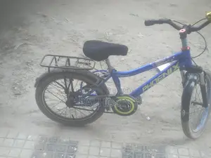Phoenix Bicycle for Sale