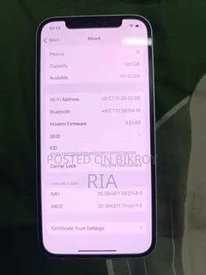 Apple iPhone 12 (Used)