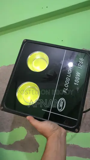 Flood Light 100w Ip66