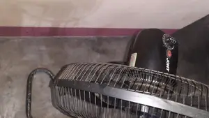Original Jony Fan
