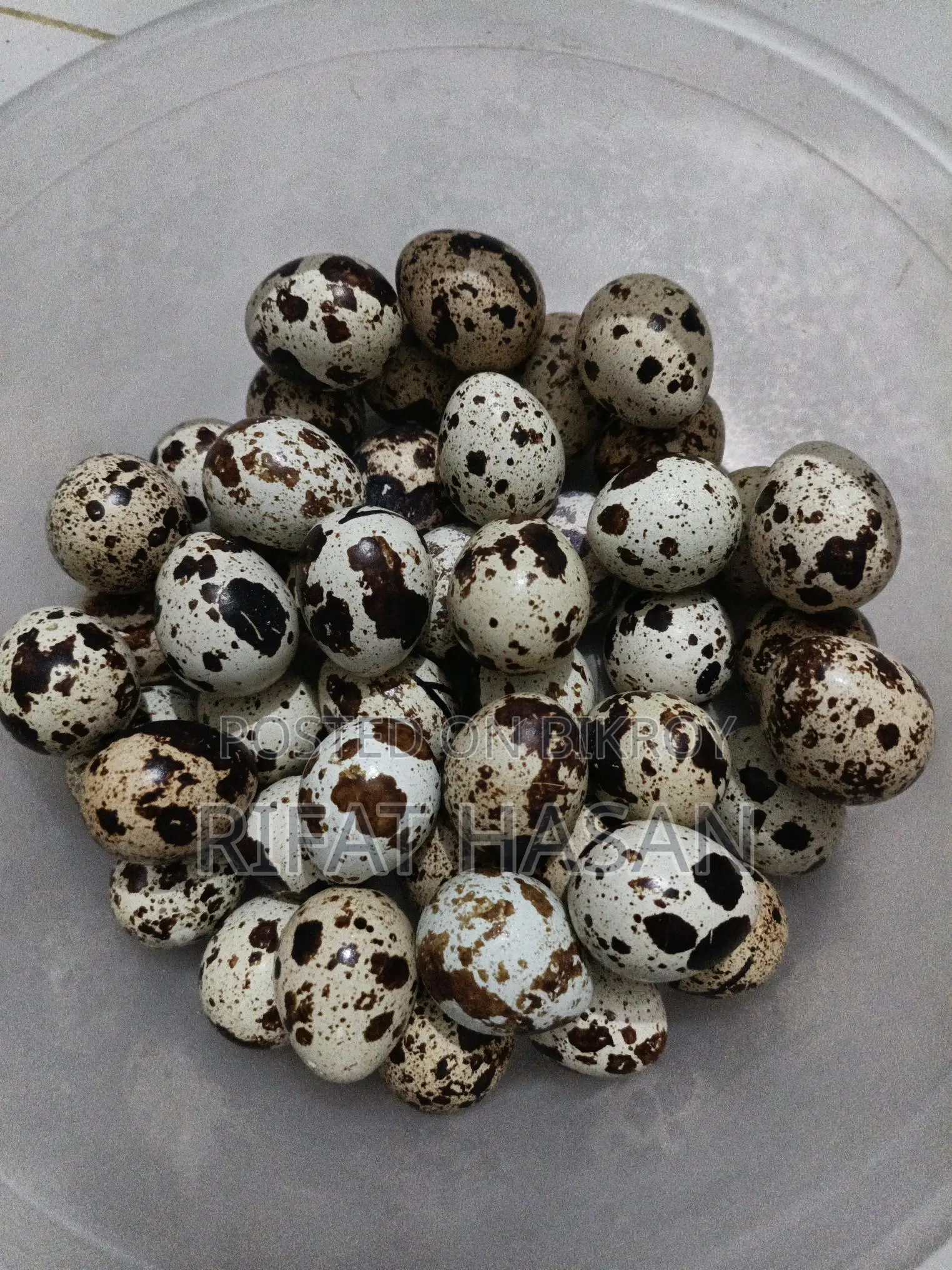 Quail Feed and Hatching Eggs