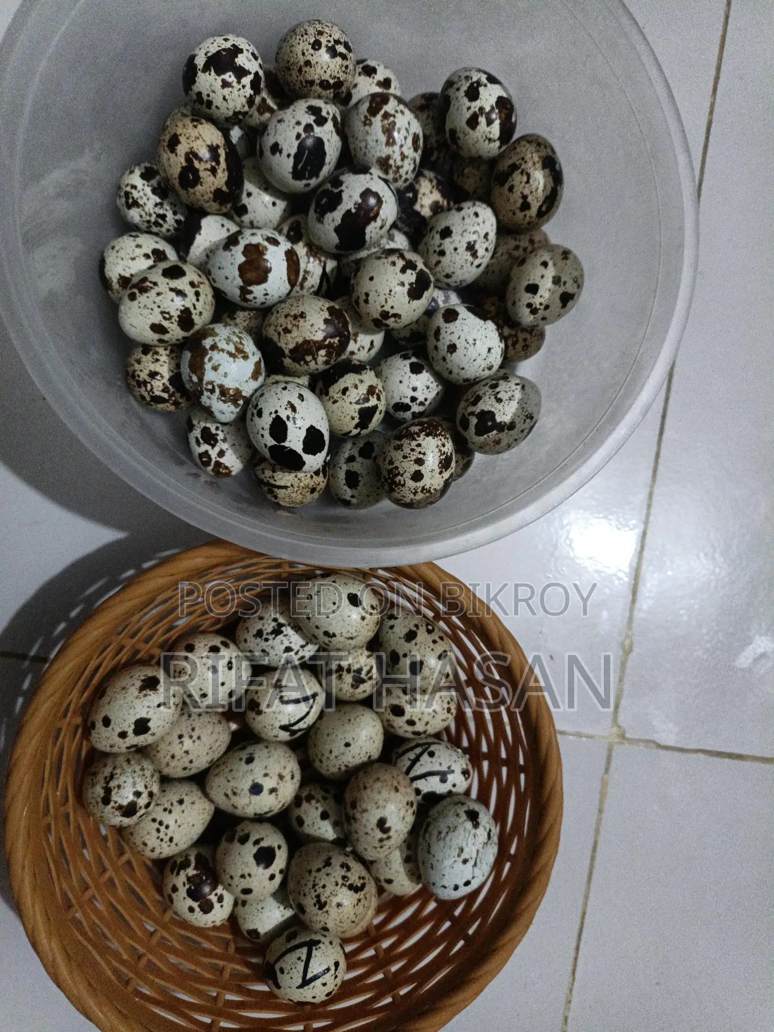 Quail Feed and Hatching Eggs