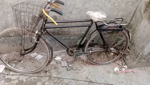 Bicycle for Sale