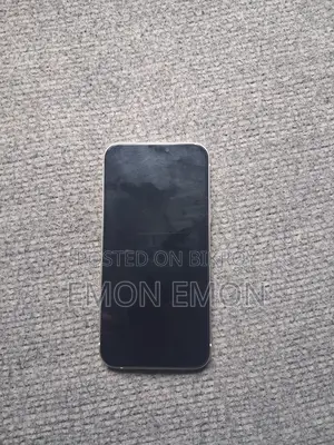 Apple iPhone 12 (Used)