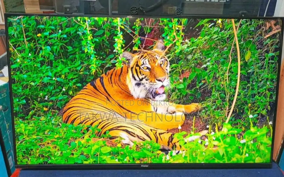 Haier-43" Inch Android Frameless Voice Control TV