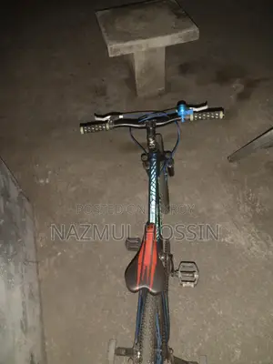 Forever Bicycle for Sale