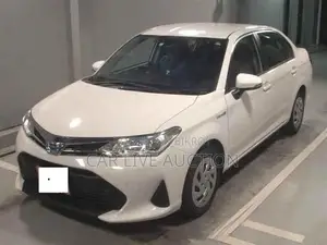 Toyota Axio Hybrid EX Package 2021