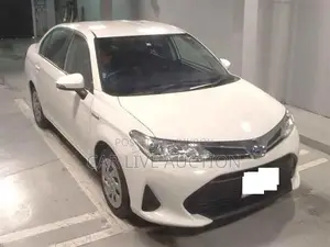 Toyota Axio Hybrid EX Package 2021