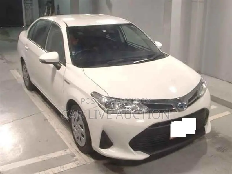 Toyota Axio Hybrid EX Package 2021
